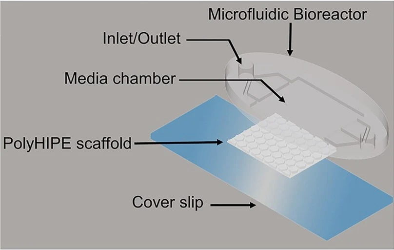 Bone-on-a-chip components