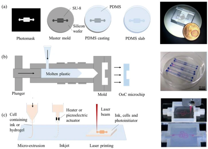 fabrication methods of organ-on-a-chip