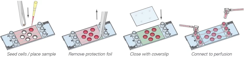 µ-Slide III-3D-Perfusion filling