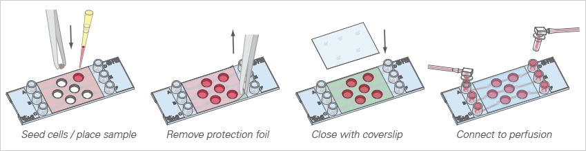 µ-Slide III-3D-Perfusion filling