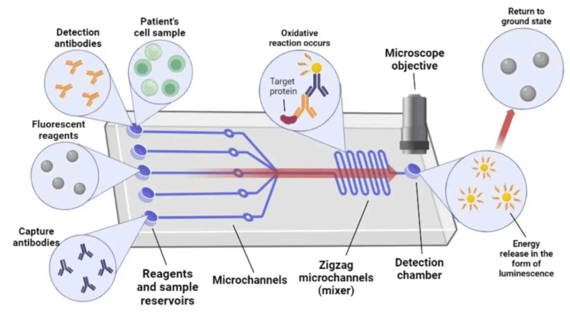 lab-on-a-chip