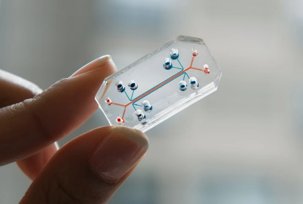 lung-on-a-chip microfluidics device