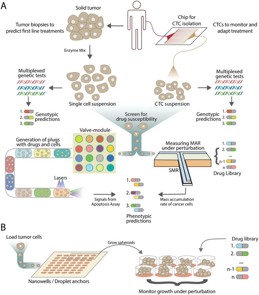 Potential monitoring approach for genetic cancer patient stratification