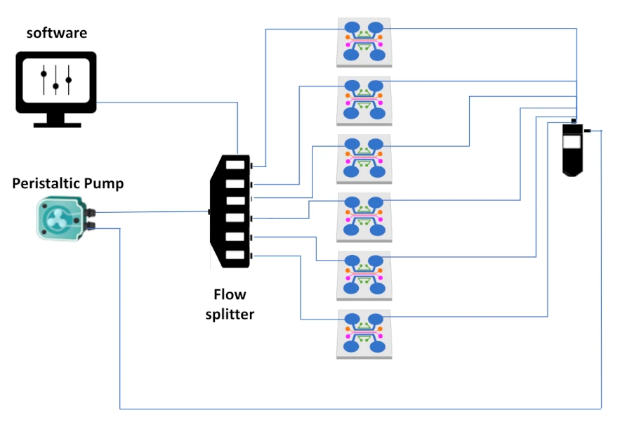 schematics flow splitter with peristaltic pumps