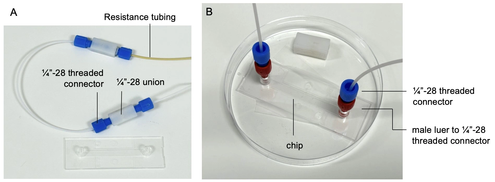 Perfusion cell culture Connect tubing to union