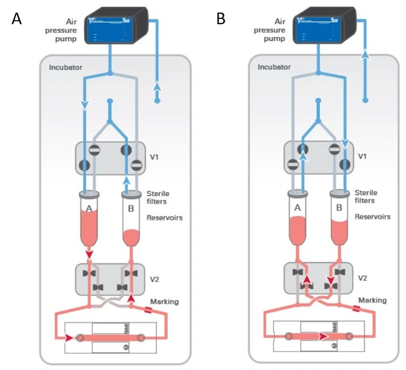 recirculation system with Ibidi pump and valves