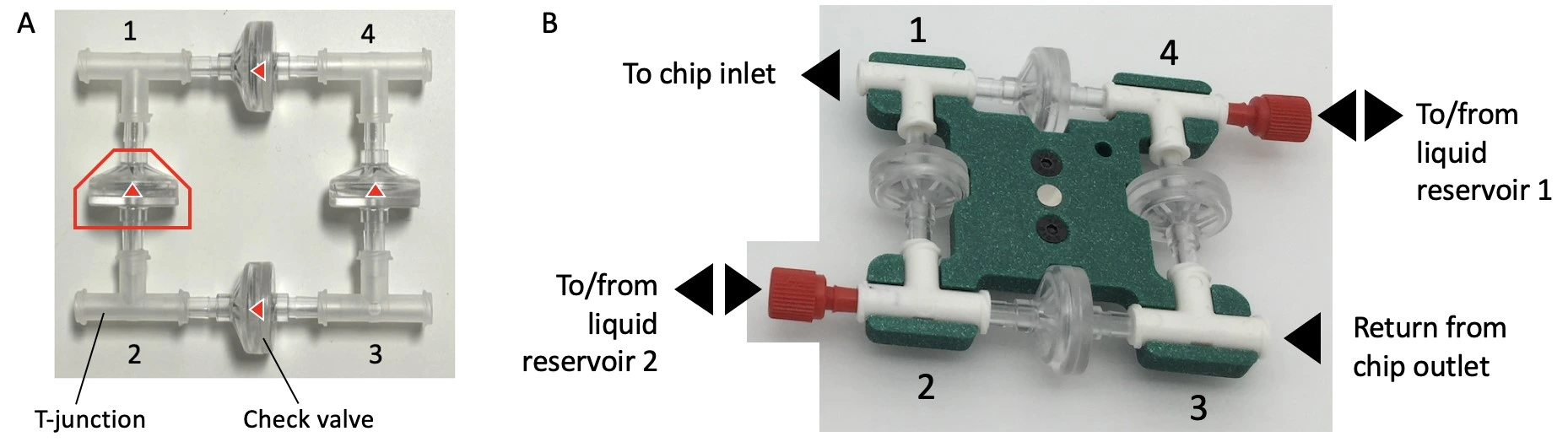 Recirculation bridge assembly unidirectional flow Perfusion cell culture