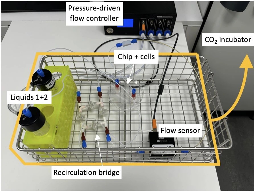 Perfusion cell culture transfer of liquid reservoirs, bridge, flow sensor and microfluidic chip to the CO2 incubator