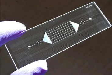 Glass microfluidics chip