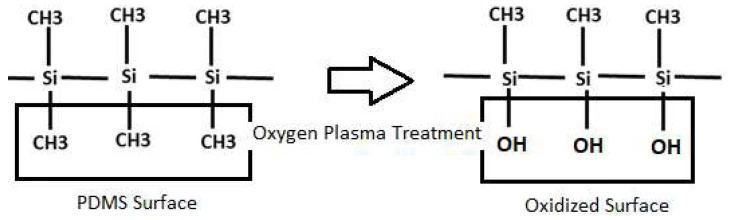 PDMS surface reaction under O2 plasma treatment