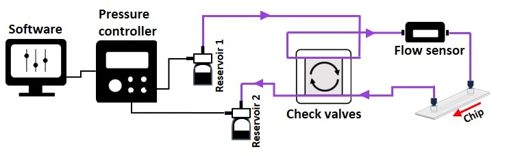 recirculation system with check valves