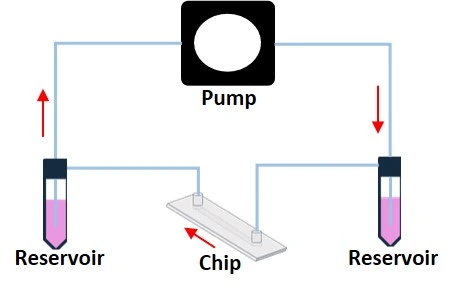 recirculation system general setup