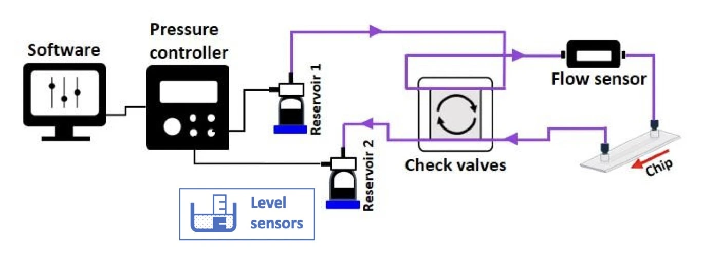 recirculation system with check valves and level sensors