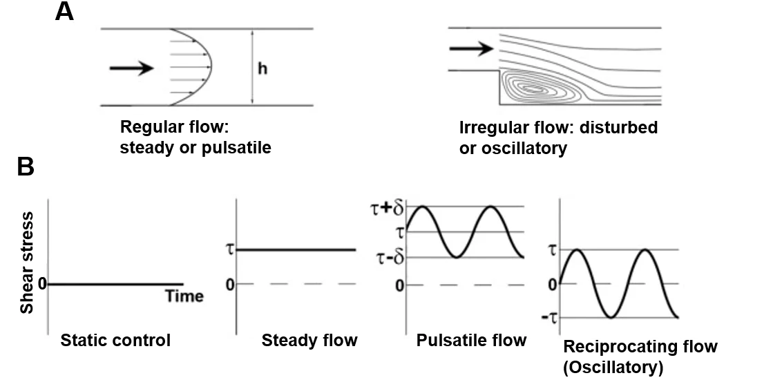 Classification-of-flow-patterns