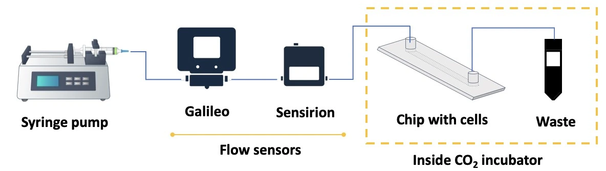 syringe pump setup for cell perfusion