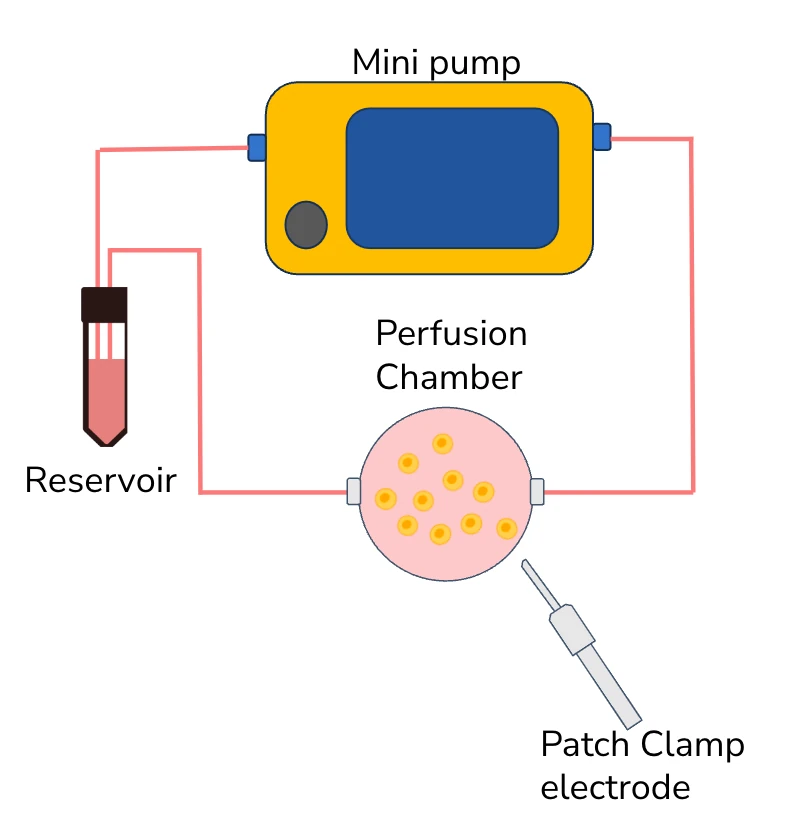 patch clamping mini pump schematics