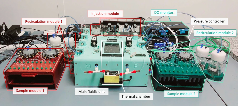 placenta model platform