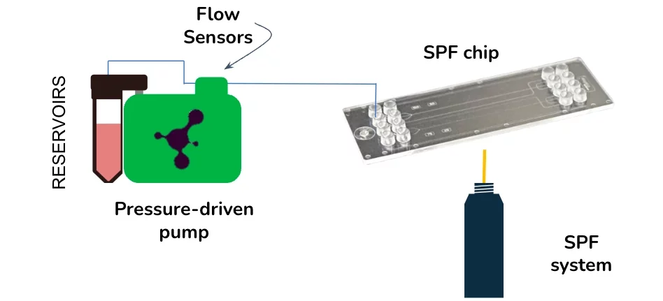 surface plasmon resonance schematic