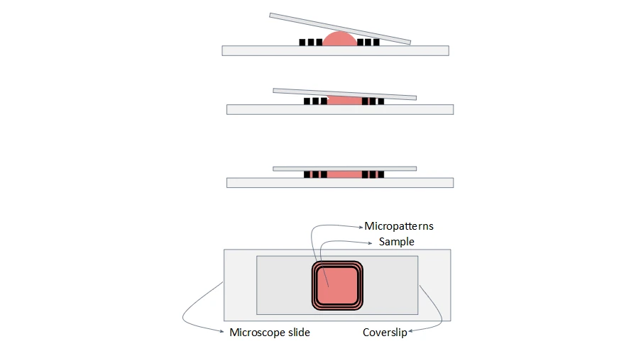 Immunohistochemistry protocol schematics