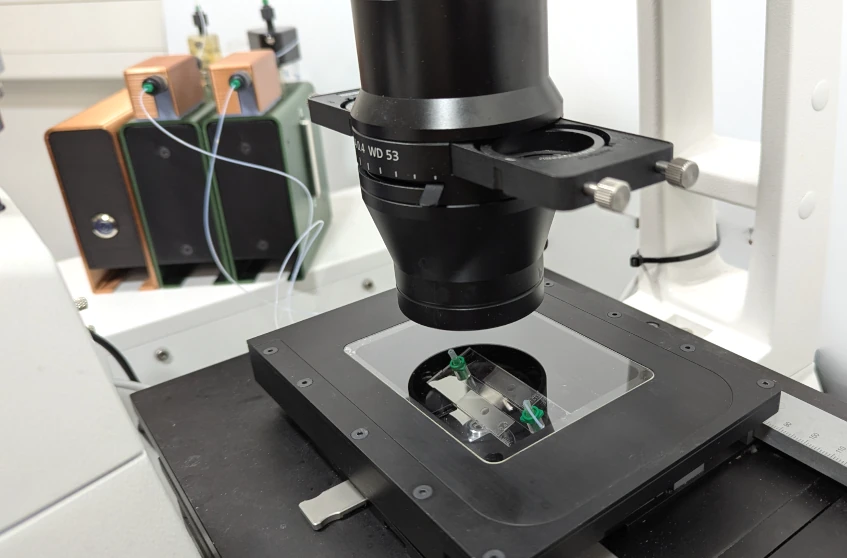 calcium imaging setup microscope