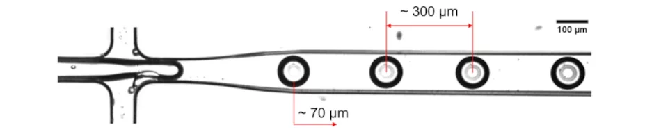 Droplet generator schematics