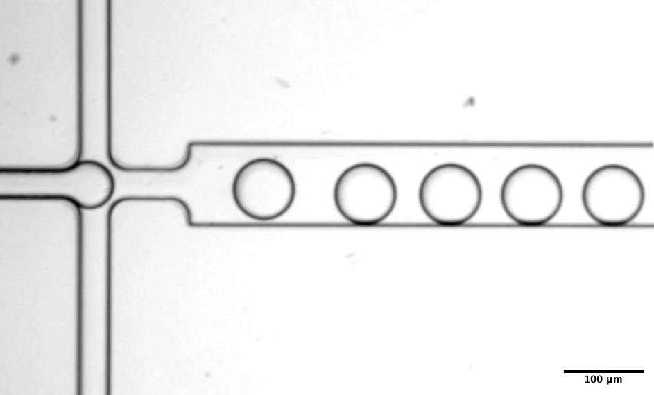 Droplet generator microfluidics