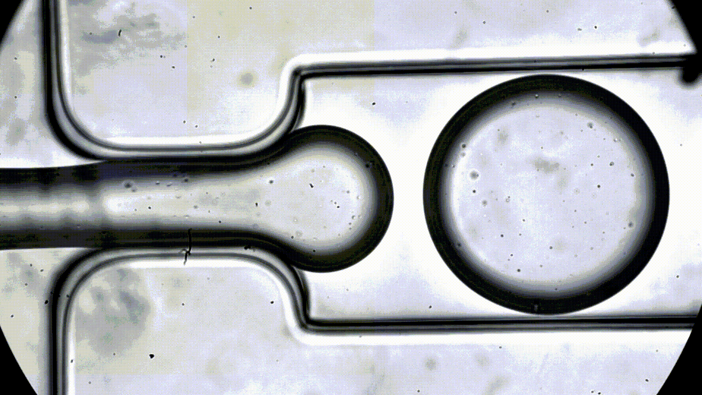 microfluidics droplets