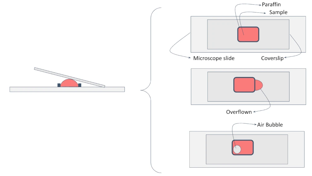 microscope slides_air bubble under microscope slide and overflown liquids_schematics